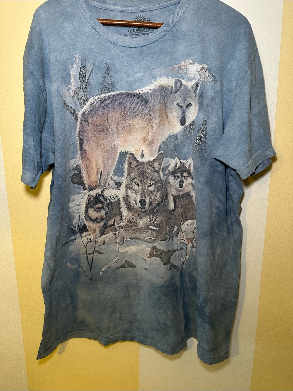 The Mountain Wolf Family Graphic Tee Size 2XL Blue Tie Dye Nature 2017